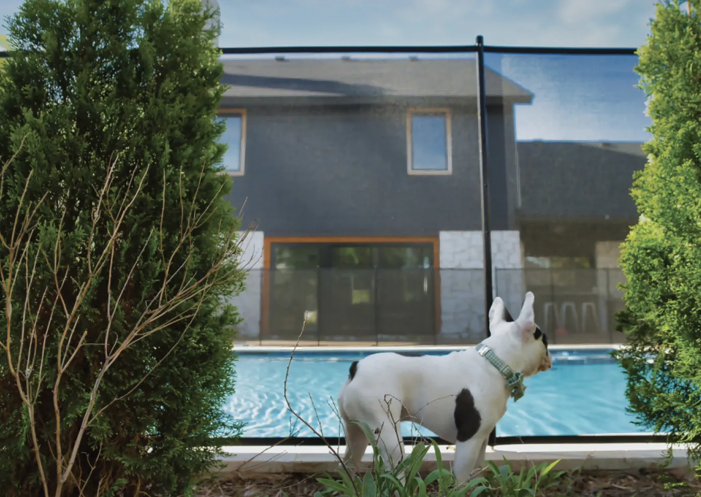 pet-safety-fences-oklahoma-city-okc